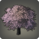 Fernöstlicher Kirschbaum