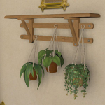 Wandregal mit hängenden Topfpflanzen