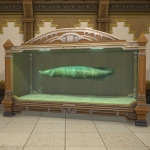 Aquarium XL