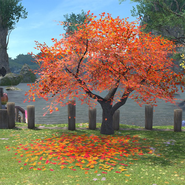 Herbstlicher Ahornlaubteppich